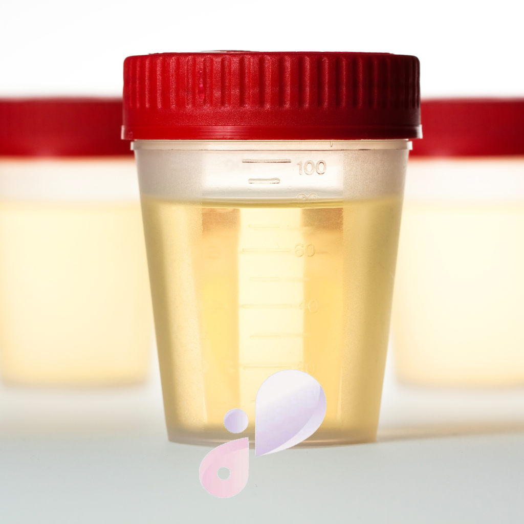 TEST TOSSICOLOGICO URINE - PRIMO LIVELLO